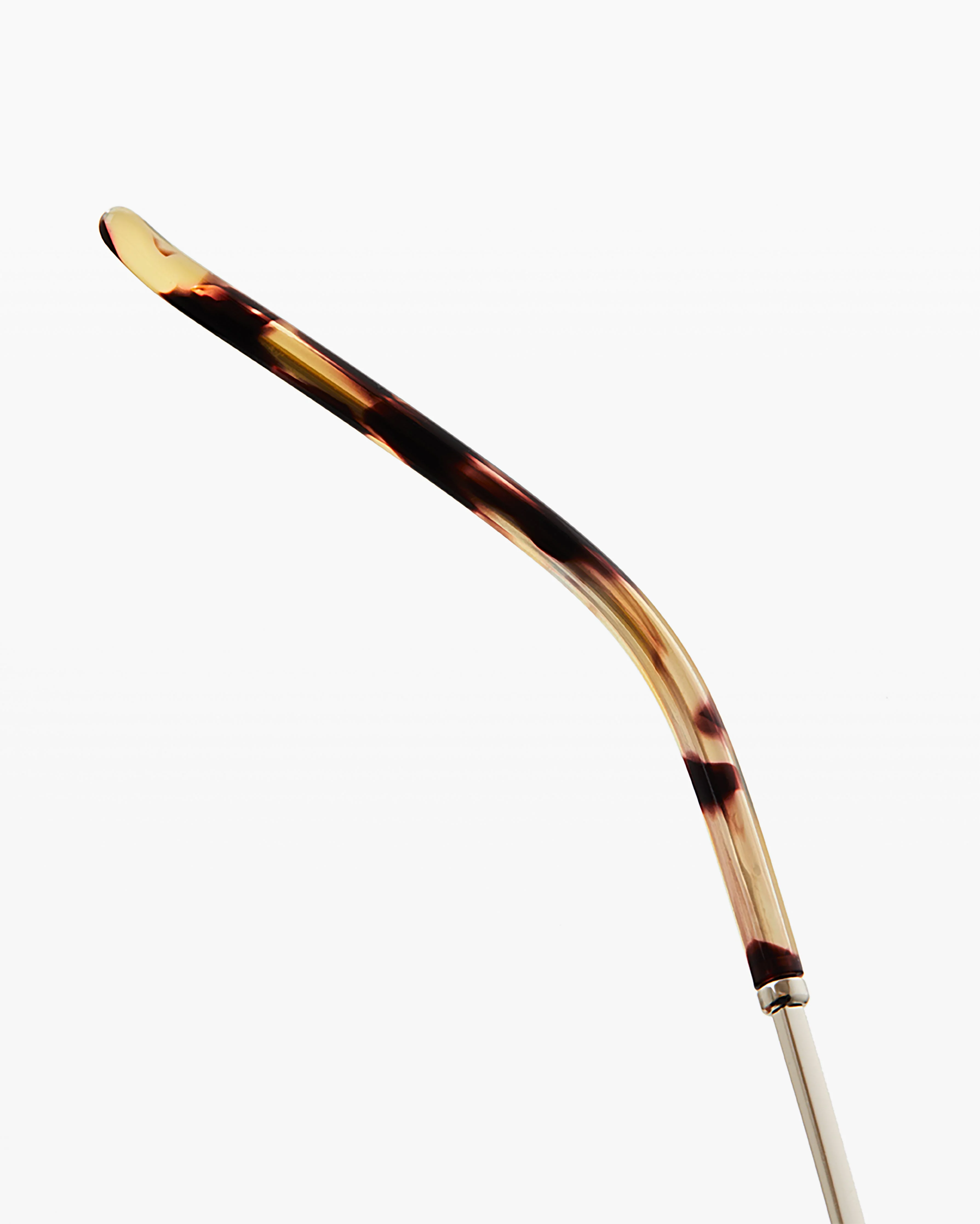 The Dimby XL - Image 5